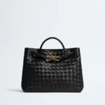 Bottega Andiamo Bag