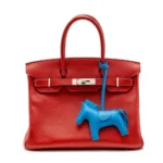 Birkin 30 Grained Leather Handbag