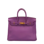Birkin 25 Grained Leather Handbag